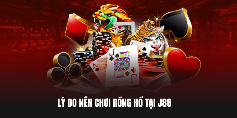 Rồng Hổ Là Gì? Bí Quyết Chinh Phục Rồng Hổ Cùng J88 Lý do nên chơi Rồng Hổ tại J88
